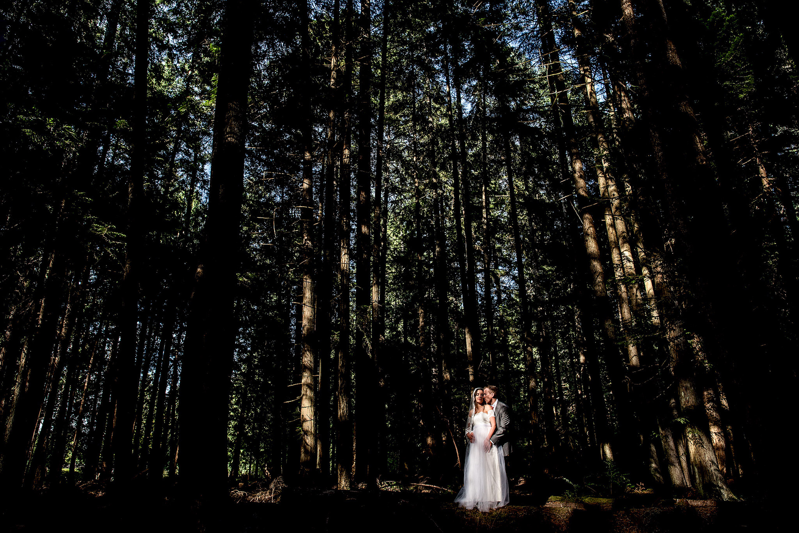 bride and groom embracing each other in the forest - Qualicum Wedding Photographer