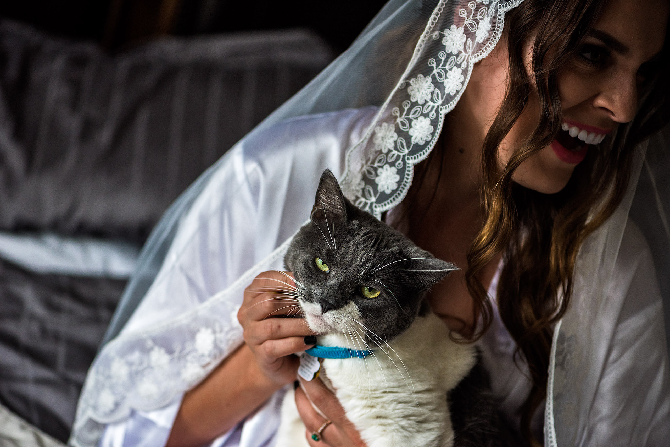 a bride holding her cat - Qualicum Wedding Photographer