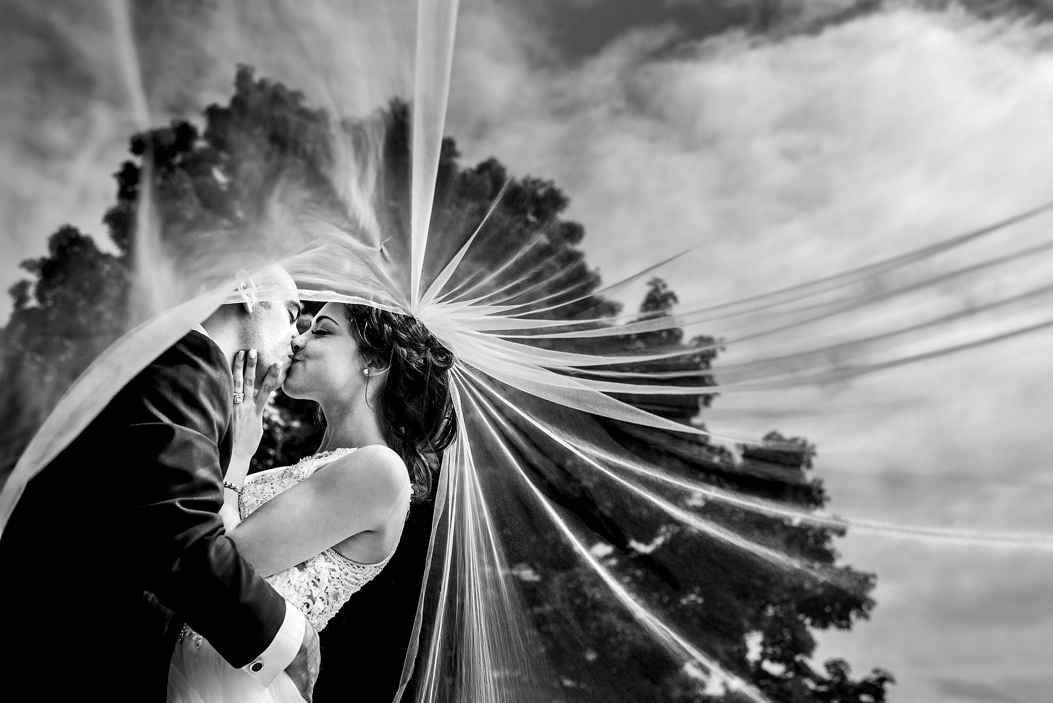 bride and groom kissing in front of a tree with the bride's veil flowing in the wind - calgary wedding photography sean leblanc