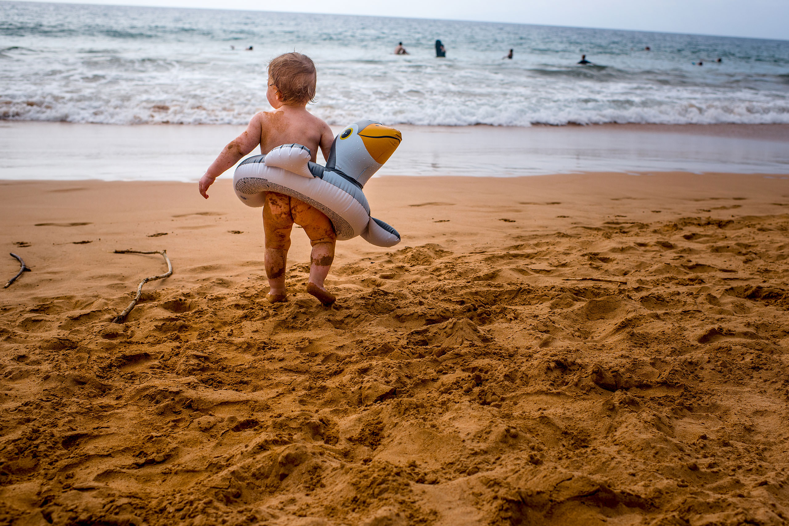 a young boy walking towards the ocean by destination family photographers sean leblanc