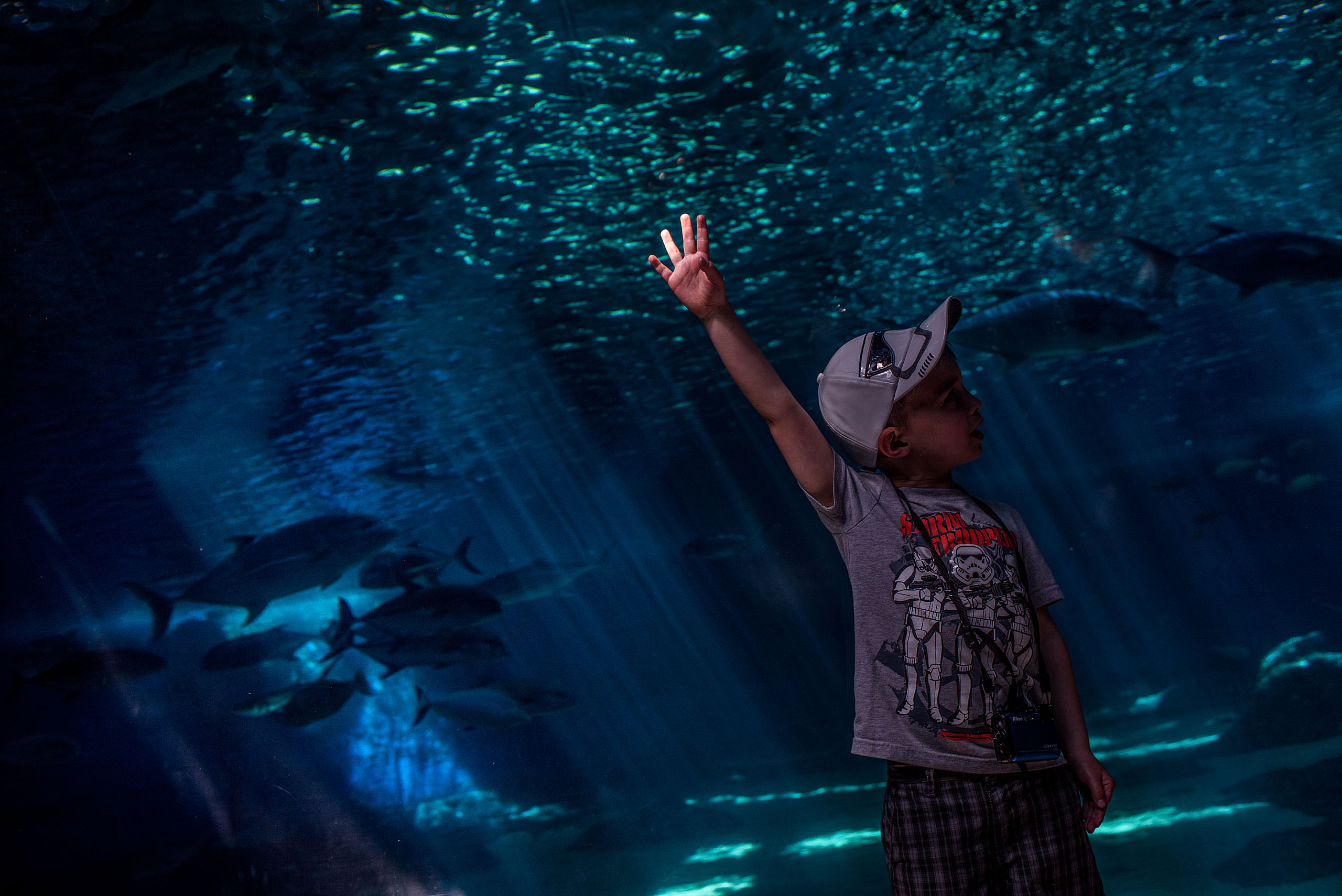 a young boy holding his hand in a stream of light by destination family photographers sean leblanc