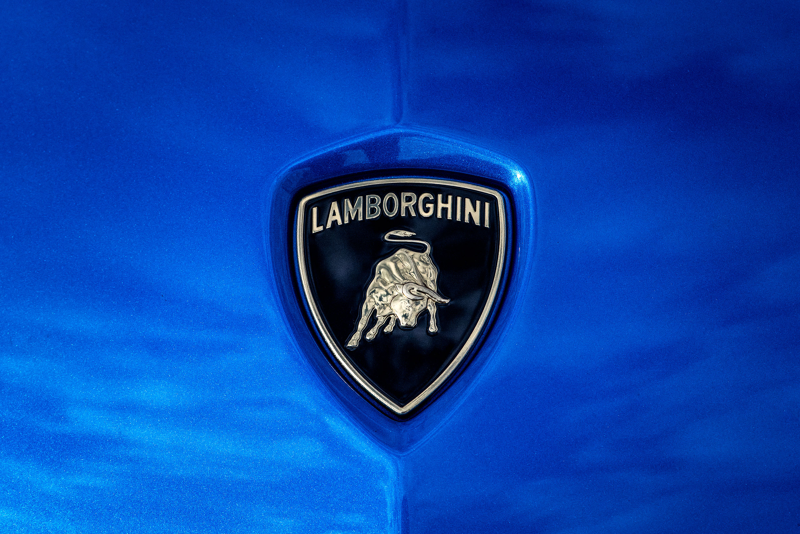 metallic blue Lamborghini aventador close up photograph of the decal