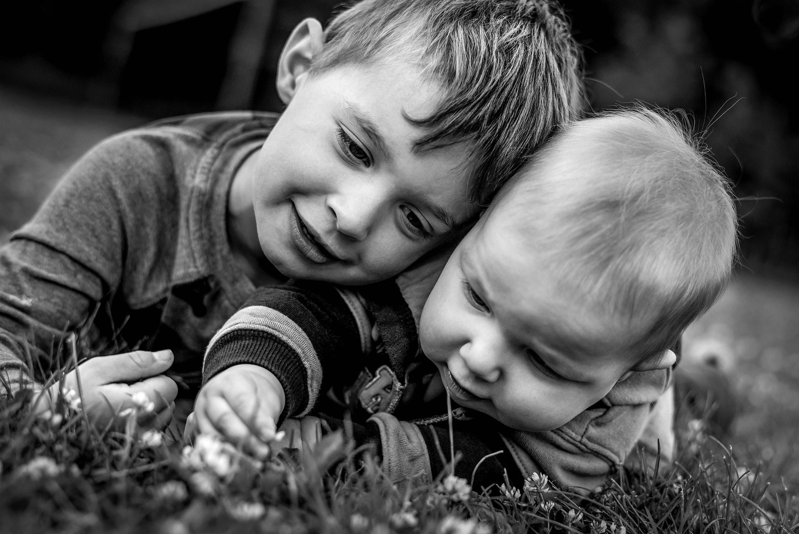 two young boys lying down in the grass playing with a flower by top family portrait photographer sean leblanc