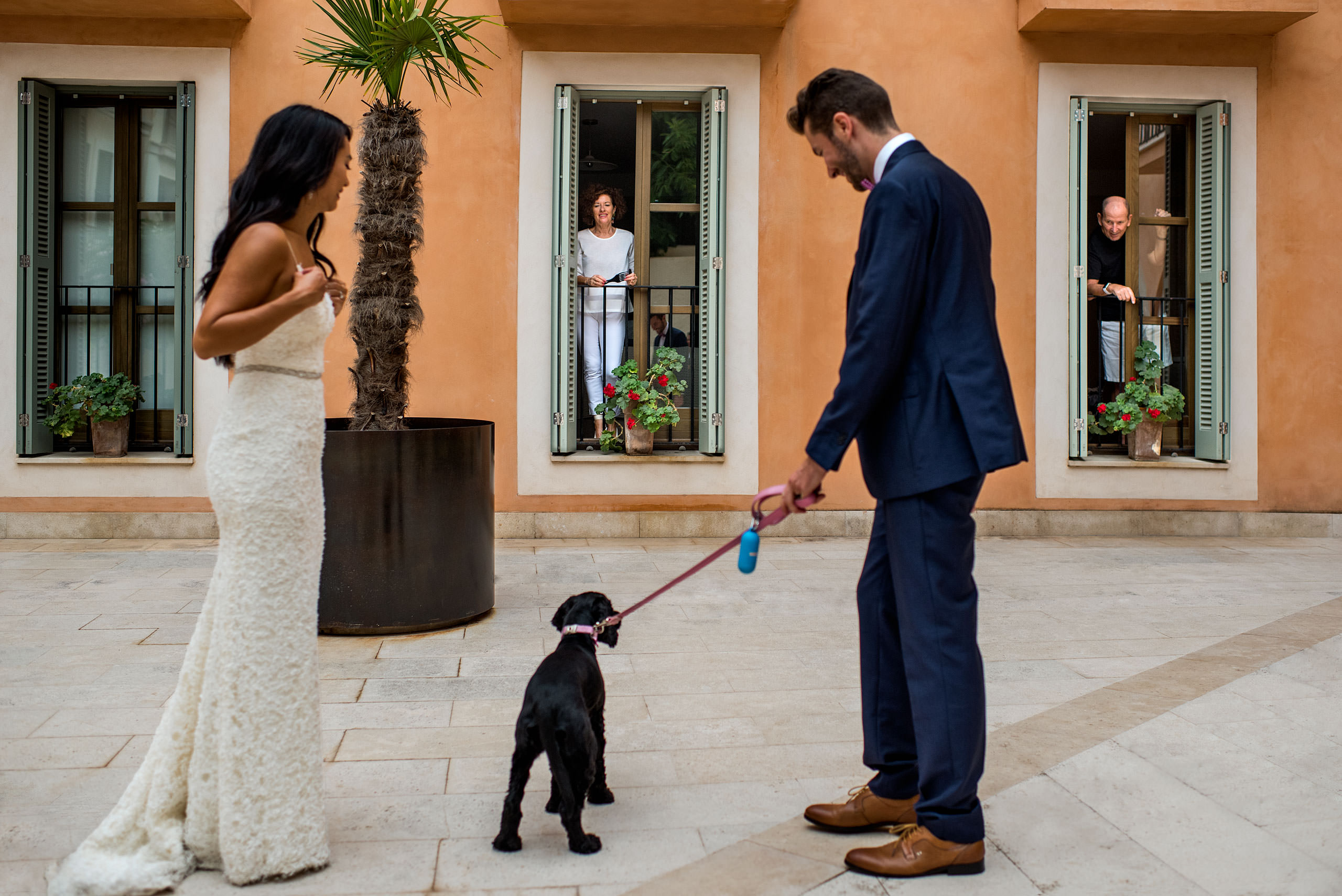 a bride and groom walking their dog at castillo hotel son vida destination wedding by sean leblanc