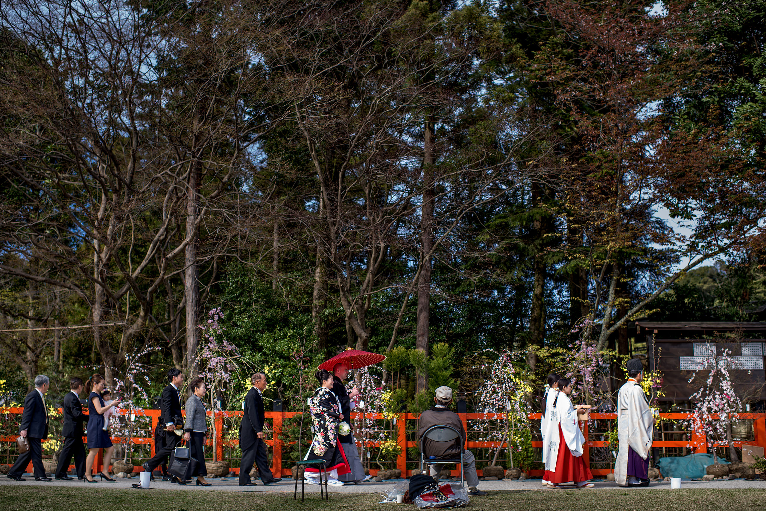 a Japanese wedding party walking by trees by Japan Destination Wedding Photographer Sean LeBlanc