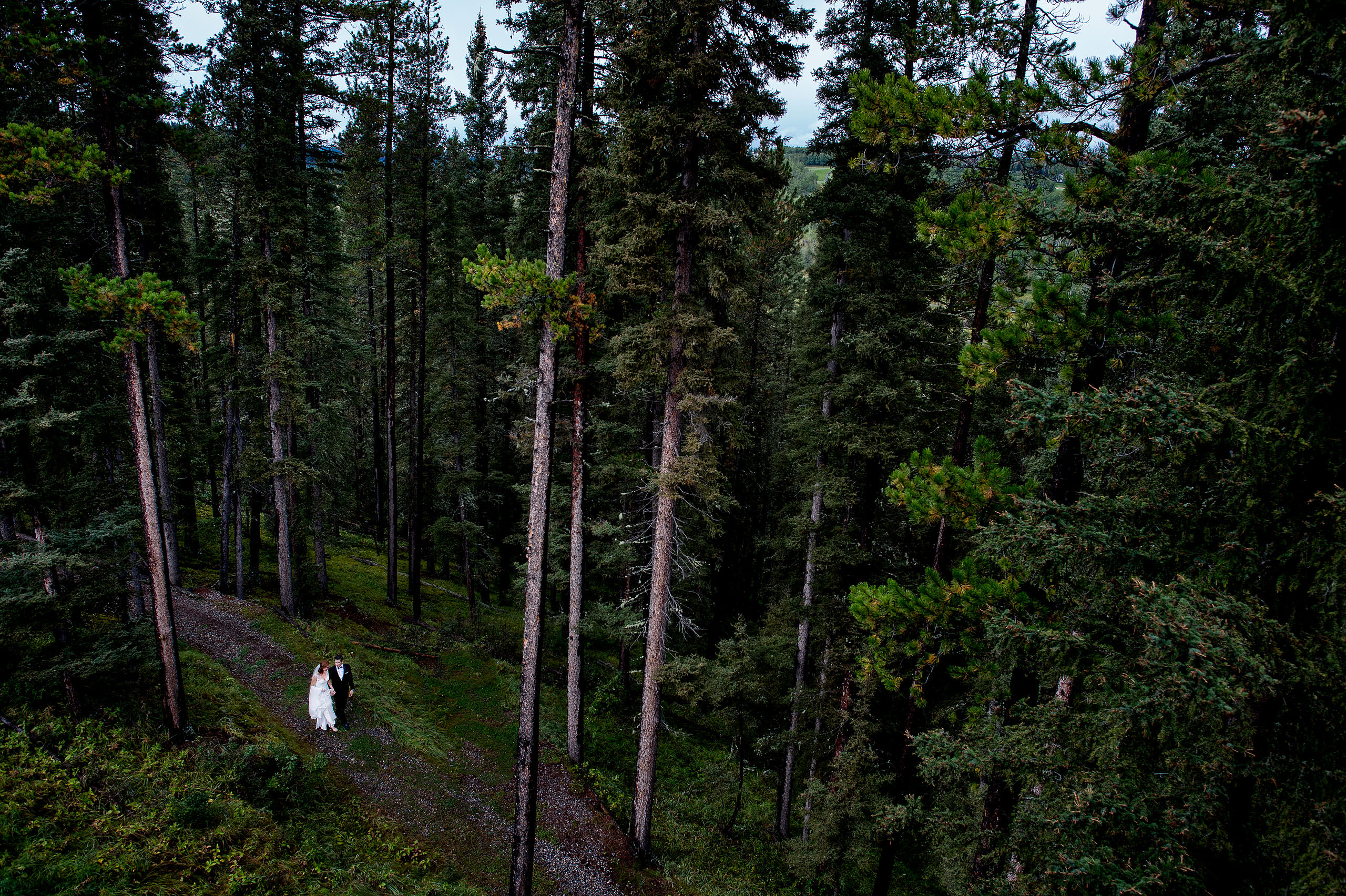 bride and groom walking in the forest at Priddis Azuridge Wedding by sean leblanc