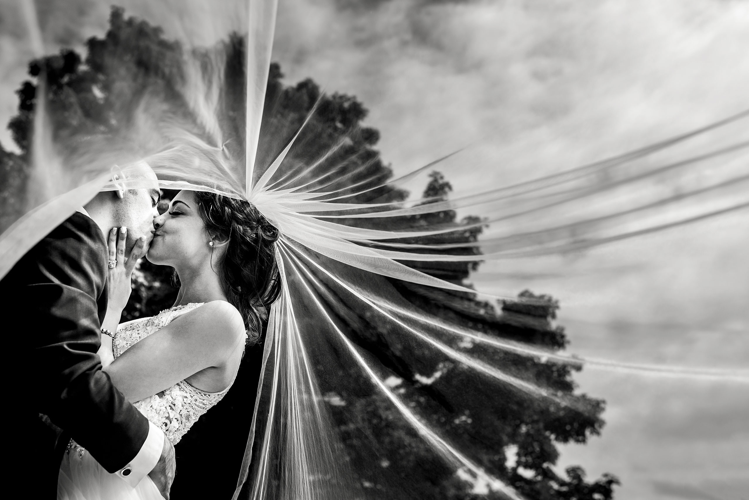 a bride and groom kissing in front of a tree with the bride's veil flowing in the wind by calgary sean leblanc wedding photographers