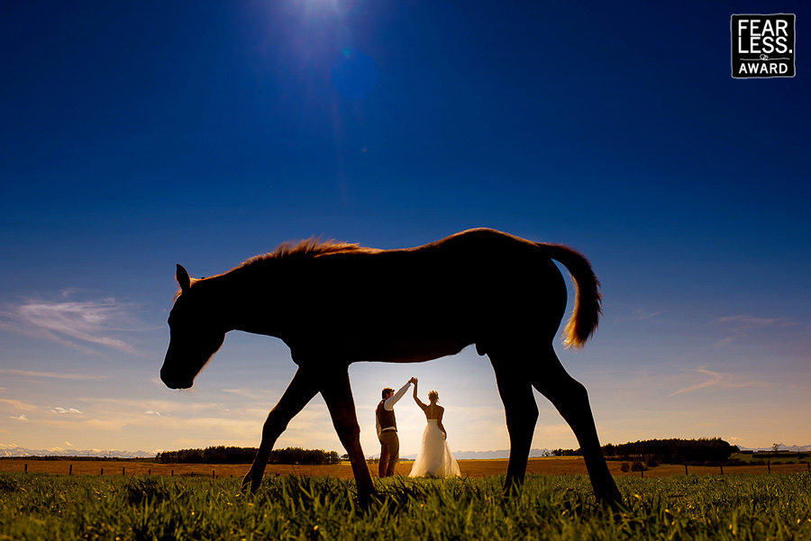 Fearless Award for photography workshops by sean leblanc