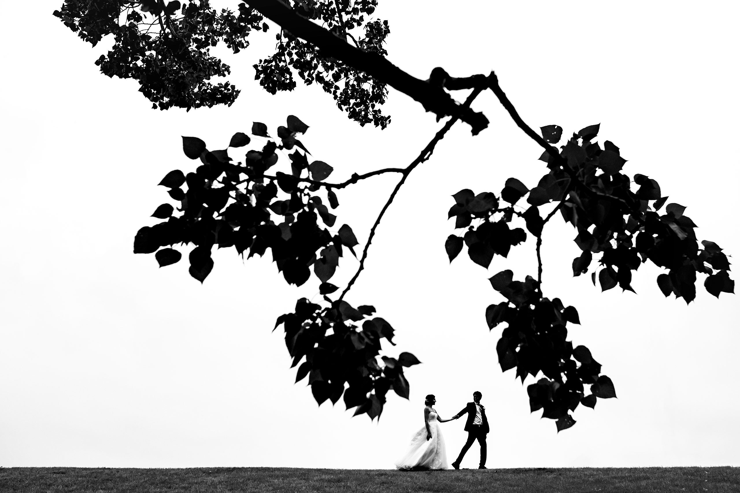 bride and groom walking in a park by a large tree by award winning photographer sean leblanc