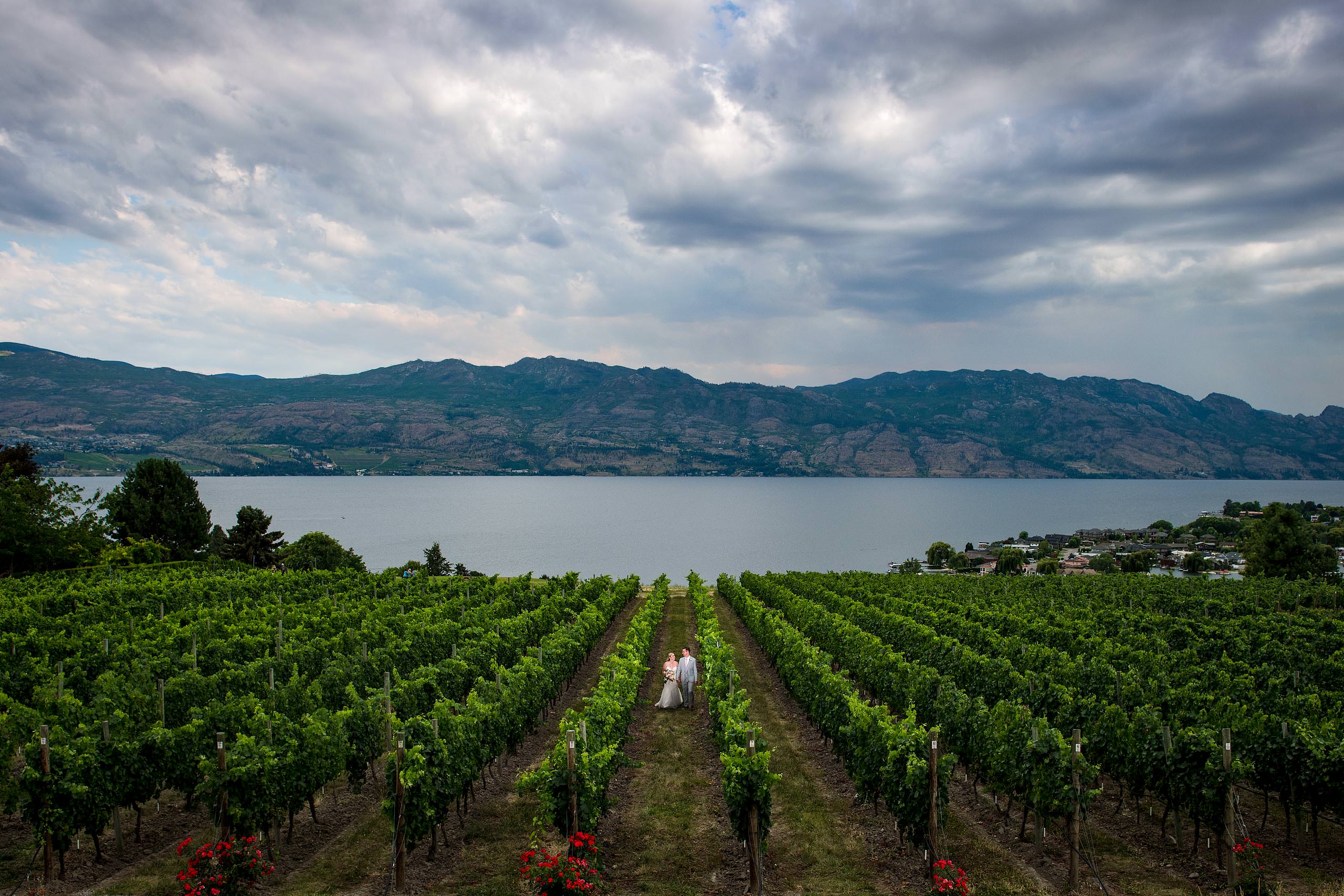 married couple walking through quails gate vinyard taken by wedding photographer sean leblanc