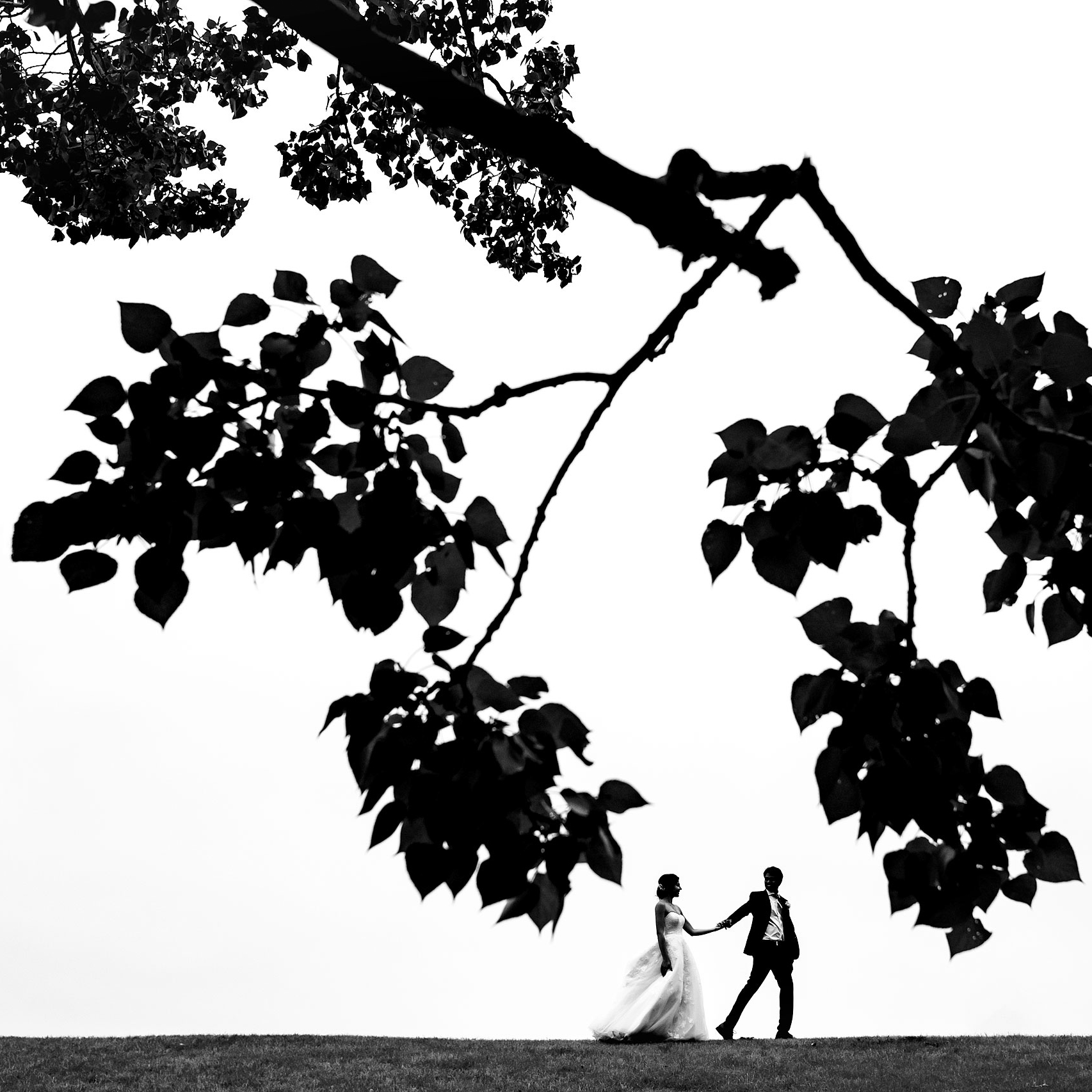 a bride and groom walking along a hill top by a tree by calgary wedding photographer sean leblanc