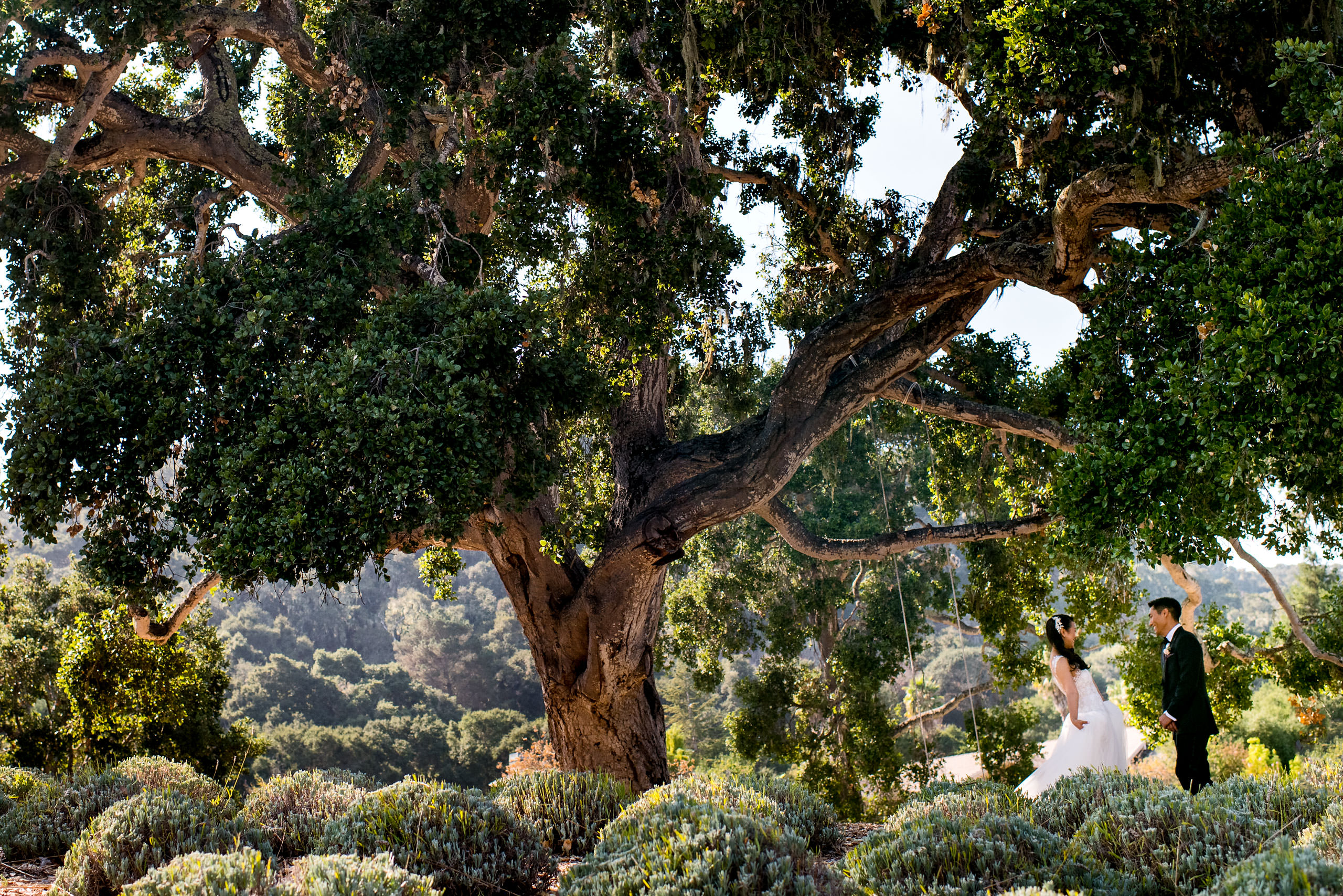 First look by a swing by Carmel Valley Ranch Wedding Photographer Sean LeBlanc