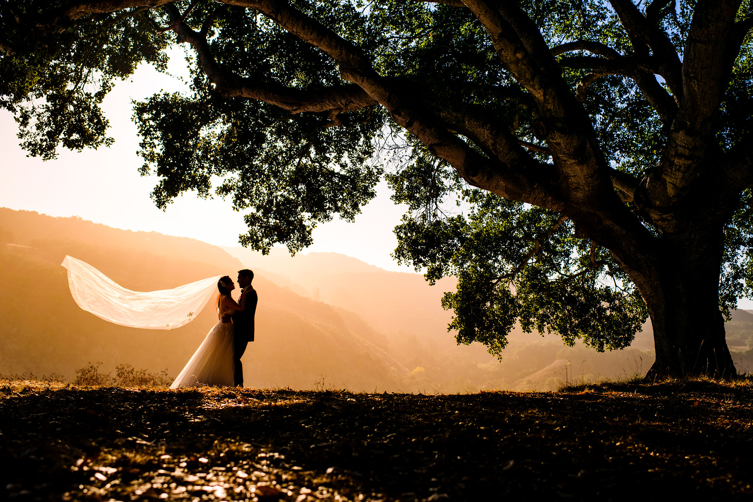 The yoga platform portrait by Carmel Valley Ranch Wedding Photographer Sean LeBlanc